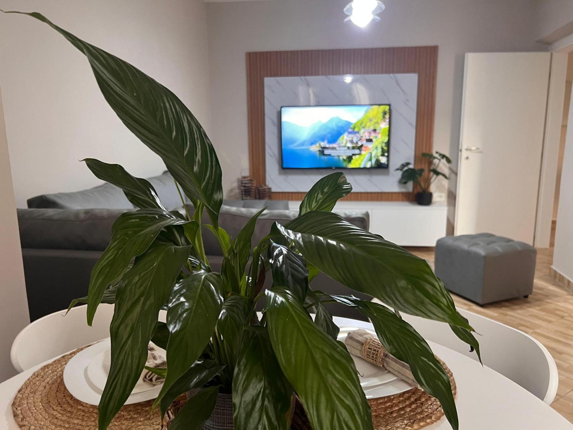 New Modern Tirana Apartment エクステリア 写真